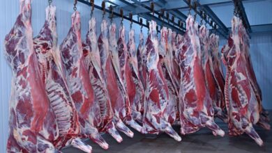 Kurban Bayramı dana karkas et kesim fiyatları